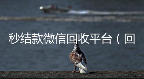 秒结款微信回收平台（回收vx秒结平台）