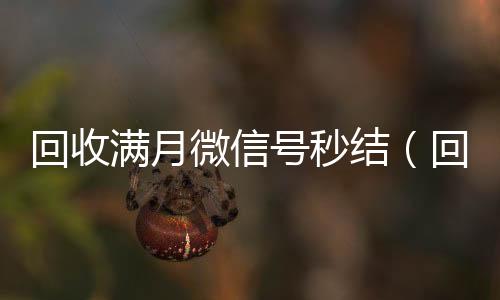 回收满月微信号秒结（回收一个月微信号）