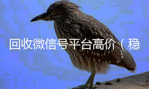 回收微信号平台高价(稳定高价回收微信号平台)