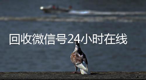 回收微信号24小时在线秒结(2020年最新24小时回收微信号)