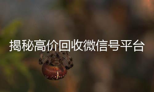 揭秘高价回收微信号平台,让你的闲置账号价值最大化!