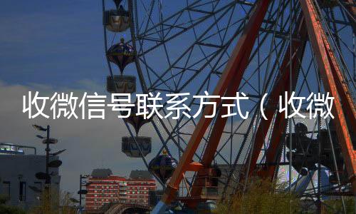 收微信号联系方式(收微信号怎么走平台)