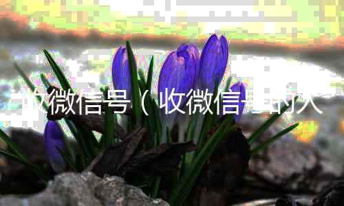 收微信号（收微信号的人用来干嘛有危险么）
