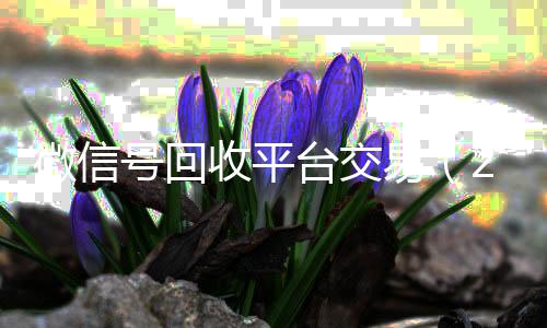微信号回收平台交易(2021年微信号回收平台)