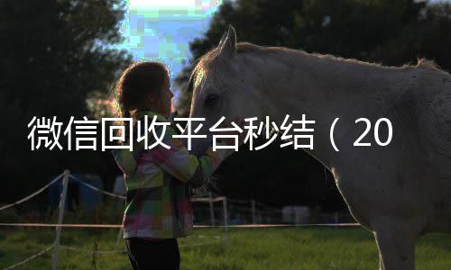 微信回收平台秒结（2020在线回收微信秒结）