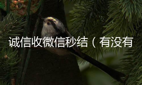 诚信收微信秒结(有没有收微信号秒结账的)