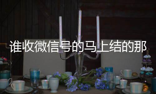 谁收微信号的马上结的那种(收微信号的人是真的吗)