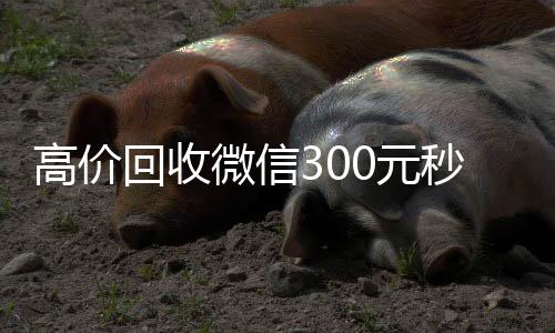 高价回收微信300元秒结(高价回收微信秒结账)