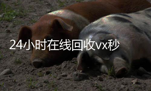 24小时在线回收vx秒结(在线回收app)