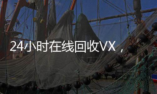 24小时在线回收VX,秒结服务,轻松变现您的虚拟资产