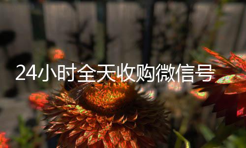 24小时全天收购微信号(全天收购微信号秒结)