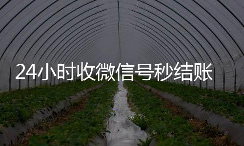 24小时收微信号秒结账(微信24小时收款)